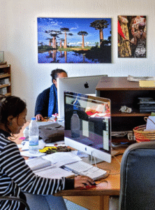 design graphique 300